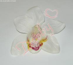 orchidei do vlasů objednaná:)