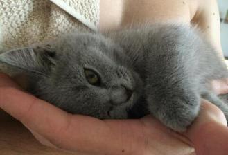 moj malinky