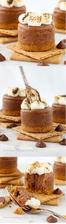 Mini Smores Milk Chocolate Cheesecakes