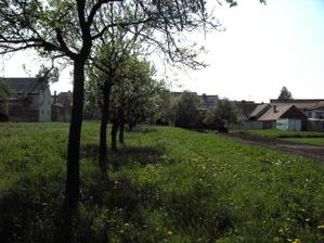 Pohled zezadu