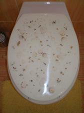 Detail na WC prkénko.