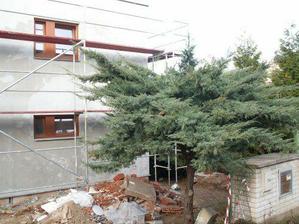 Pohled z ulice, "Baobab" stavbu přežil:-)