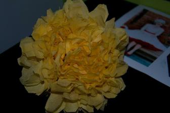 Pompoms....