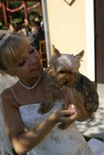 s mojou Fifi