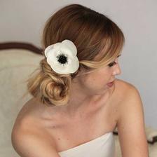 Pro milovnice anemonek