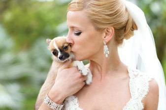 Bride and her tiny doggie