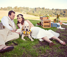 Simple wedding relax