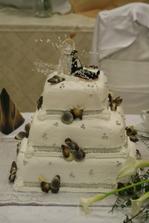 hlavna torta :-))) to su tam plody mora-dezert
