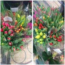 Syn mi na nákupu vyfotil dnešní nabídku tulipánů,jedny hezčí než druhý...objednala jsem si růžový,ty jsem ještě neměla..