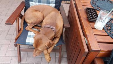 Posledni makronka ke zbytku kafe,ze tam byla??Vazne??Tak tu jsem rozhodne nevidel a vlastne tu tvrde spim..