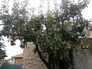 hruska