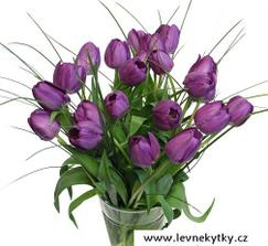 Budu mít kytici z fialových tulipánů