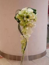 lalie,dendrobium