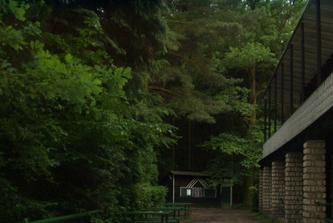 im Litovelwald