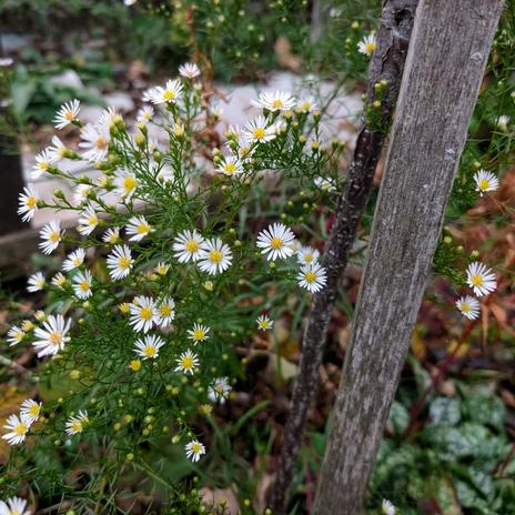 Projekt Andělská 2025