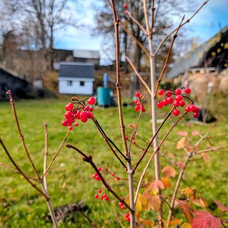 Projekt Andělská 2025