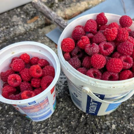 Projekt Andělská 2025