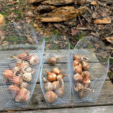 Projekt Andělská 2025