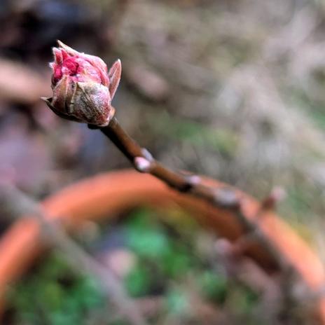 Projekt Andělská 2025