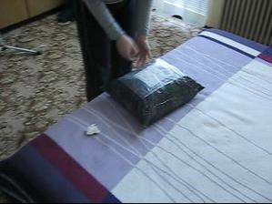 v takomto baliku to prislo.neverila som ze tam saty naozaj su