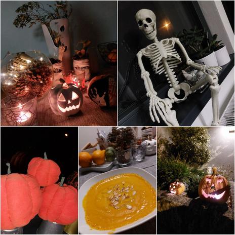 Stará dáma v novém hávu_2 (2021→)