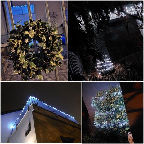 Stará dáma v novém hávu_2 (2021→)