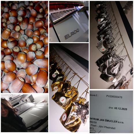 Stará dáma v novém hávu_2 (2021→)