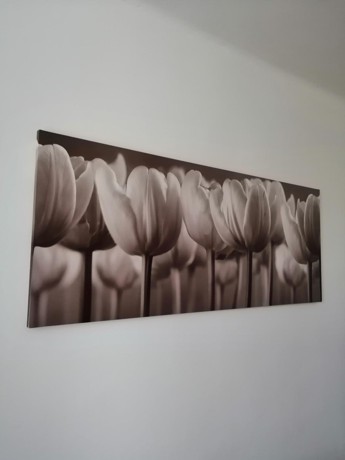 Obraz s tulipany - Obrázek č. 1