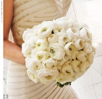 ranunculus.....moj kvietok...