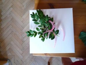 jeste vymyslet, jak nazdobit krabicku na vysluzky
