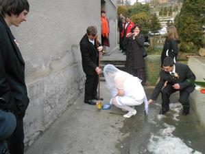 venda chyta masli