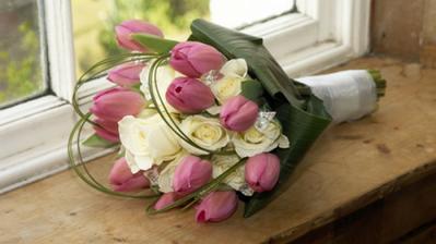 tulipany..krasa