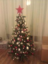 nas prvy spolocny vianocny stromcek :-)