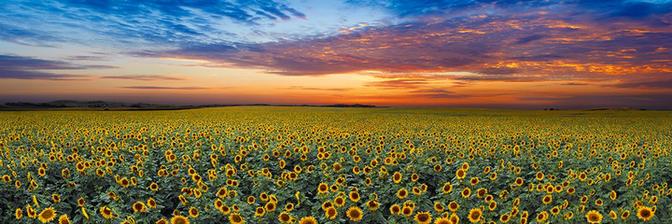 autor fotky https://www.facebook.com/PeterLik