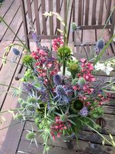 hokus pokus.... echinacea, heuchera, gaura, levandule, eryngium, sedum a miscantus