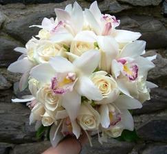 ...tuto