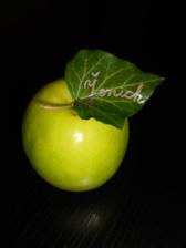 Zkouška - jmenovky na stůl