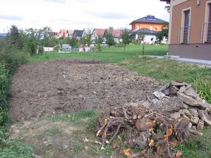 tuto trochu kamení a kořenů jsem z tama vyryl
