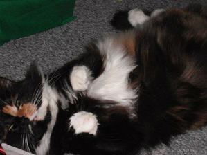 puddy2