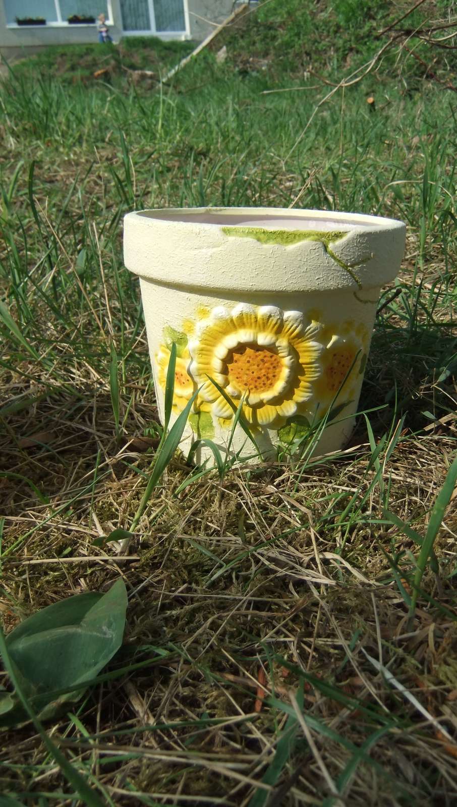 žlutý keramický květináč s kytkou  - Obrázek č. 1