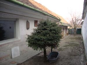 aj stromčeky budu musiet ist preč....presadiť sa :-)