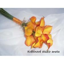 krásné