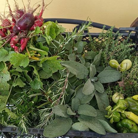 Žlutý domeček se zahrádkou 2025