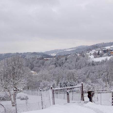 Žlutý domeček se zahrádkou 2026