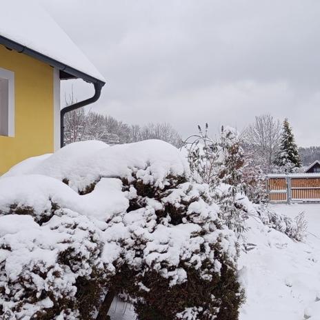 Žlutý domeček se zahrádkou 2026