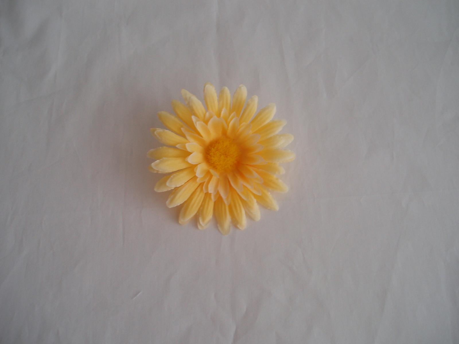 květ gerbery - Obrázek č. 2