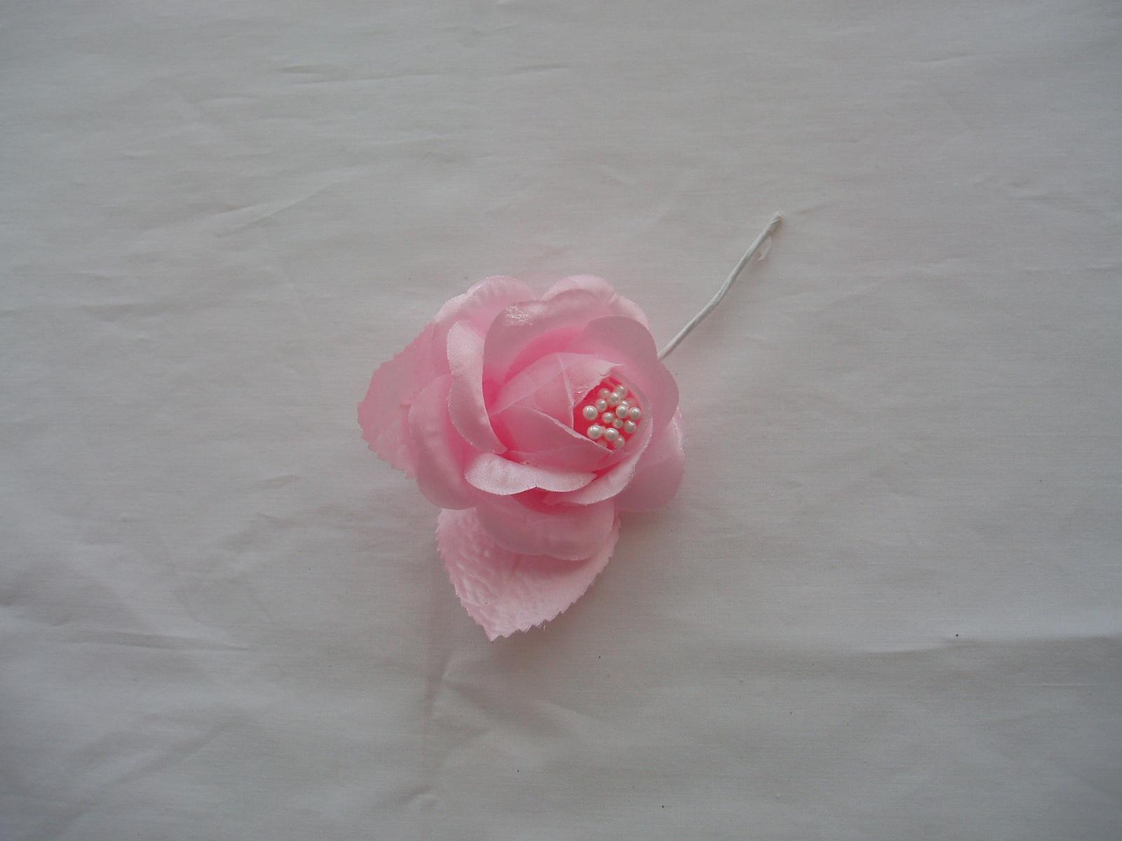 růže-růžová - Obrázek č. 1