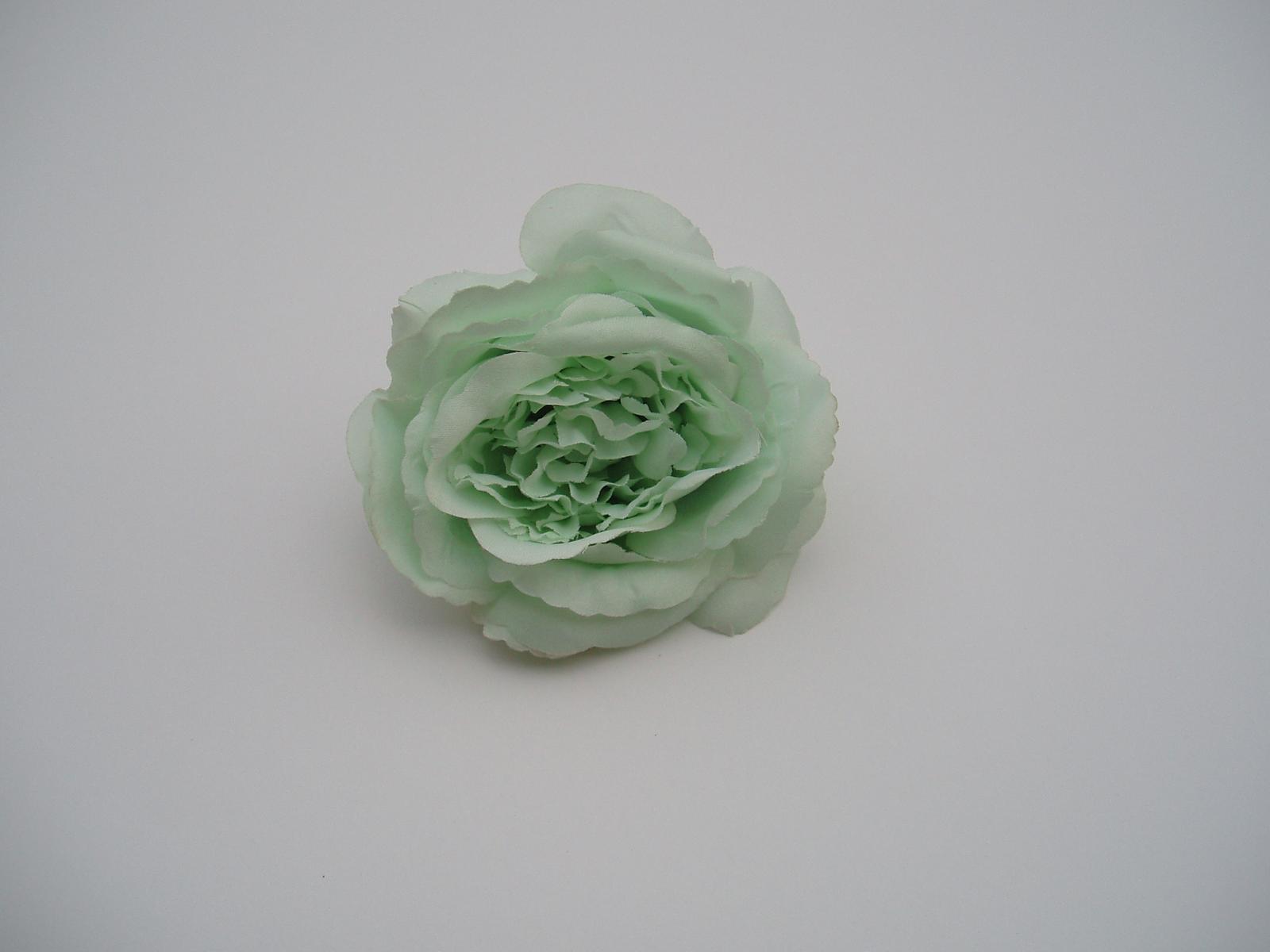 květ růže-mint - Obrázek č. 1