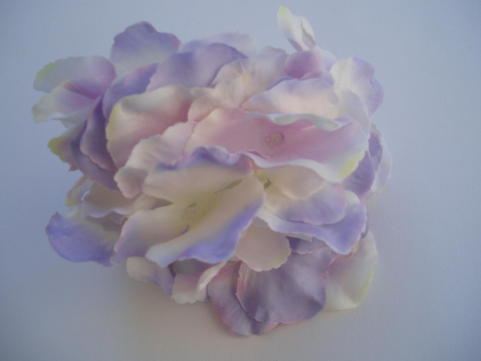 květ hortenzie - Obrázek č. 2