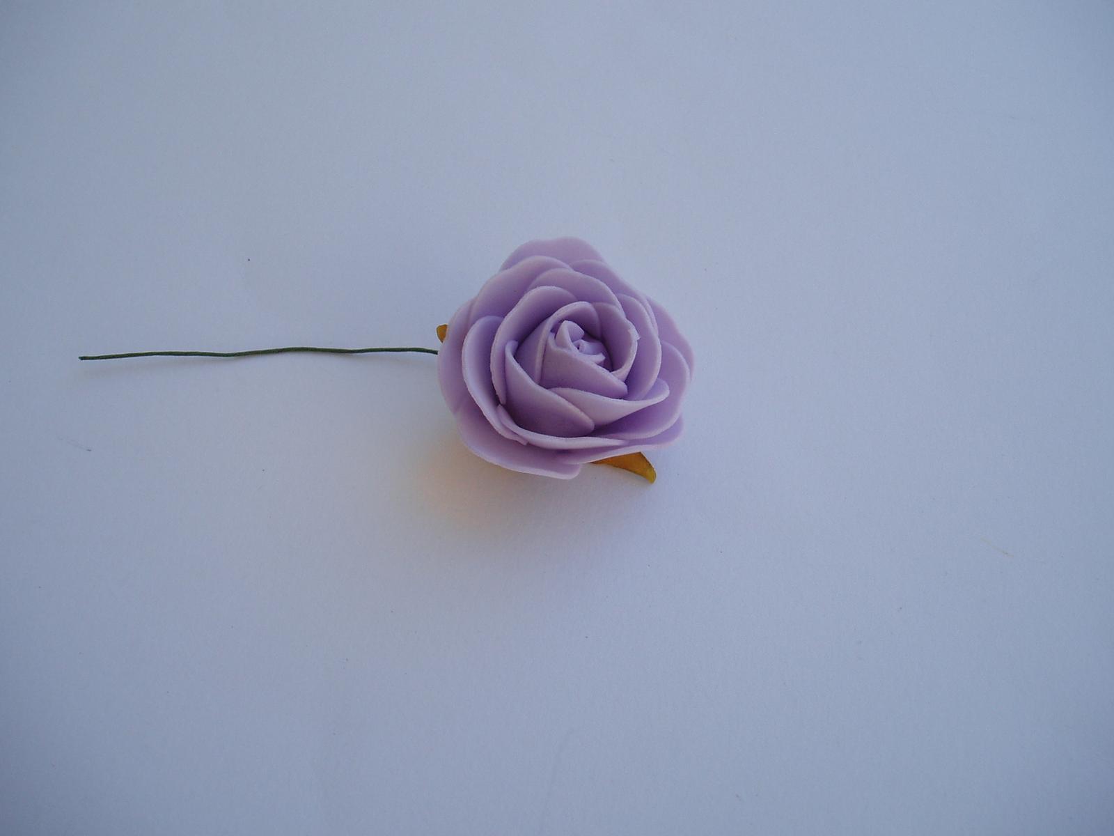 pěnová růže-lila - Obrázek č. 1